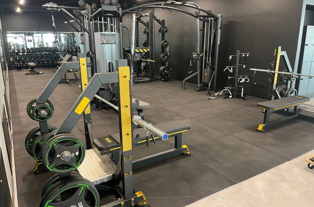 fitplus_Roding_Freihanteltraining