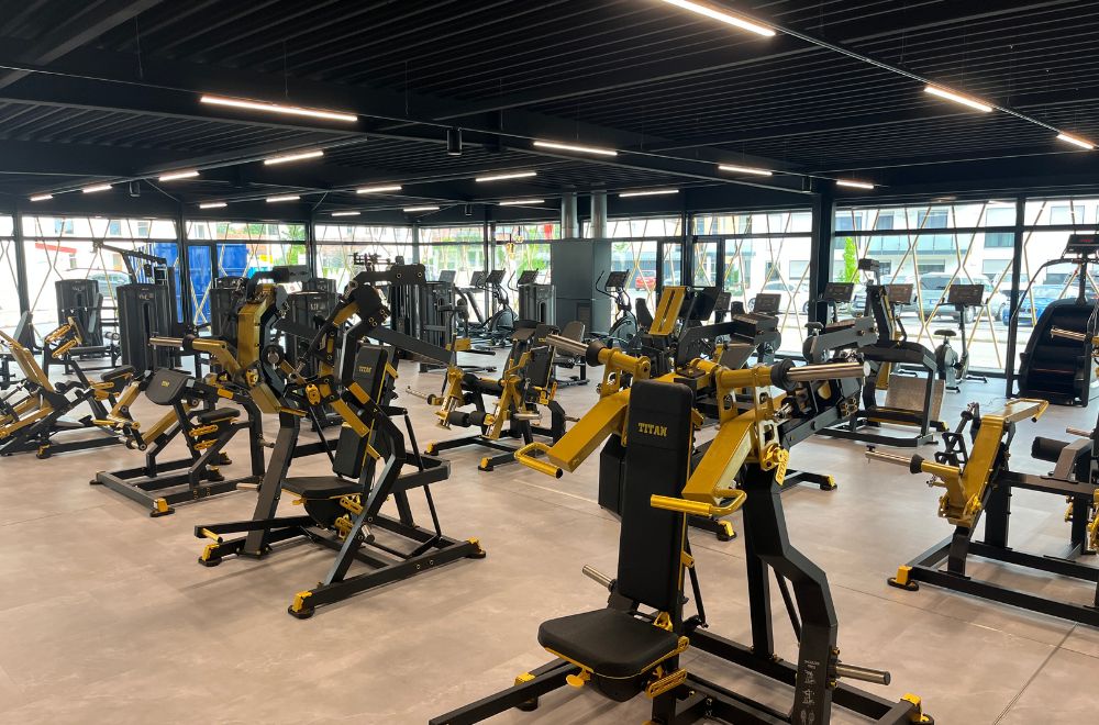 fitplus_Roding_Krafttraining