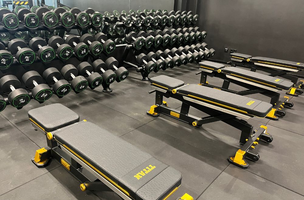 fitplus_Roding_Kurzhanteln