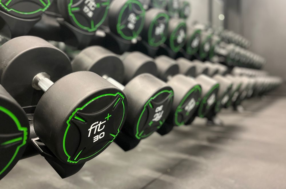 fitplus_Roding_Kurzhanteltraining